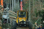 Harvester
