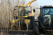 Gelber Gehölzmähhäcksler mit Traktor an seiner rechten Seite. Erntet gerade eine Kurzumtriebsplantage.