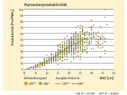 Diagramm, über den Zusammenhang von BHD und Produktivität