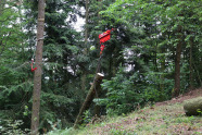 Seiltrasse in Fichtenwald mit Fahrschlitten, an dem ein Baumstamm hängt.