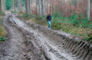 Gleisbildung auf Rückegasse