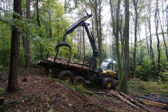 Schwarz-gelbe Forstmaschine mit Hilfswinde rückt Holz im Wald.