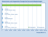 Das Säulendiagramm vergleicht den Energieeinsatz und den Energiegewinn in Kurzumtriebsplantagen und differentiert nach fünf verschiedenen Ernteverfahren.