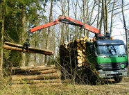 Holztransporter im Wald, der mit Hilfe eines Greifarms Holz auf die Ladefläche legt.