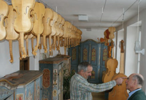 Das Holz des Bergahorns - Eigenschaften und Verwendung