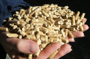 Eine Hand voll Holzpellets