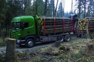 LKW mit Anhänger mit Rungenkorb