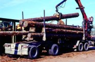 Holztransporter mit Greifarm