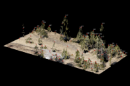 3D-Modell zum Messen von Baumhöhen