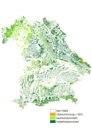 Bayernkarte zeigt kein Wald, Überschirmung kleiner 50 %, laub- und nadelholzdominiert