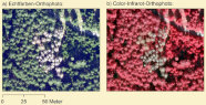 Rechts ein Bildausschnitt in Echtfarben, daneben derselbe Ausschnitt in Infrarot-Farben