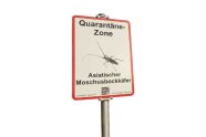 Warnschild mit der Aufschrift "Quarantäne-Zone Asiatischer Moschusbockkäfer