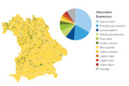 Karte Bayerns mit räumlicher Verteilung, Kreisdiagramm mit relativer Verteilung