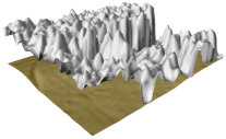 Geländemodell der Vegetation und des Bodens in 3D dargestellt