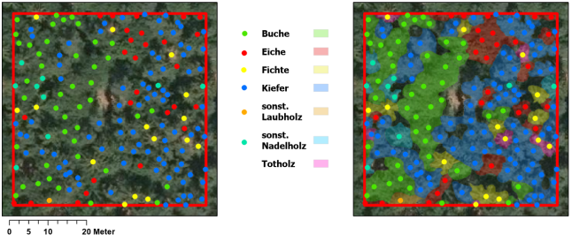 Zwei Kartenauszüge (ca. 60*60m) links und rechts sowie eine Legende in der Mitte. Bildhintergrund ist eine RGB-Luftbildaufnahme mit Wald. Jeweils dargestellt ist dieselbe Traktecke (AOI) von 2500m² Fläche und die darin erhobenen Trainingsdaten.  In (a) werden Punkte gezeigt, die jeder Baumkrone manuell zugewiesen wurden. Die Baumart ist farblich codiert.  In (b) werden zusätzlich die flächigen, für jede Krone oder Kronengruppe erzeugten, Polygone dargestellt.