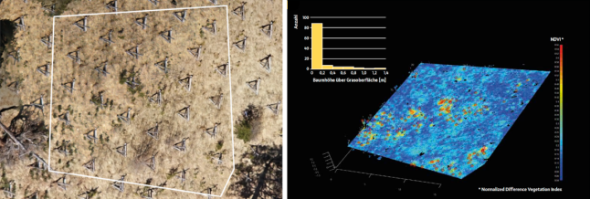 Aufsicht auf Pflanzfläche mit Dreibeinböcken (links); Einzelbaumerkennung (rechts)