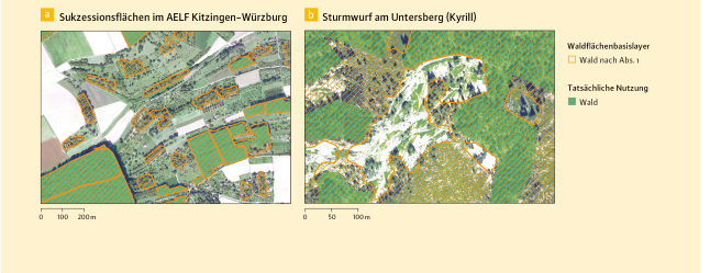 Gegenüberstellung des Luftbildes Waldflächenbasislager versus Tatsächliche Nutzung