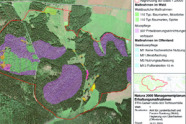 Luftbild eines Waldgebietes mit lila markierten Bereichen