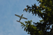 Flugzeug über Wald
