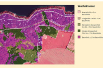 Luftbild mit nachträglich eingezeichneten Wuchsklassengebieten