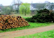 Holzpolter und Gipfel neben einem Weg