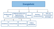 Die Grafik zeigt verschiedene Quellen für die Bereitstellung von Energieholz und weiterhin verschiedene Energieholzprodukte.