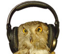 Das Bild zeigt das Logo von www.forstcast.net.
