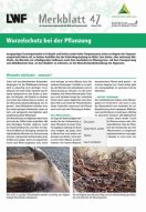 Titel Merkblatt 47- Wurzelschutz bei der Pflanzung