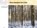Das Bild zeigt das Cover der LWF-aktuell 80. Darauf abgebidet ist ein Nadelholzforst.