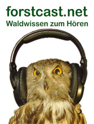 Eule mit Kopfhörer und Schriftzug forstcast.net Waldwissen zum Hören