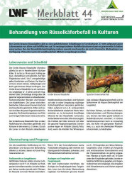 Titel eines Merkblattes mit grünem Kopf und zwei Abbildung eines braunen Käfer und eines Aststück.