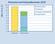 Die Grafik zeigt ein gestaffeltes Säulendiagramm. Eine Säule stellt das Potential und eine Säule das Holzaufkommen in Millionen Festmeter mit Rinde im Jahr 2010 dar. Verglichen werden das Potential für Energie-/Industrieholz und das Aufkommen von Hackschnitzel, Scheitholz und Industrieholz.