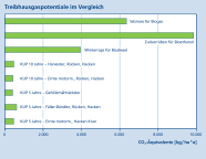 Das Balkendiagramm vergleicht die Treibhausgaspotentiale von Silomais für Biogas, Zuckerrüben für Bioethanol und Winterraps für Biodiesel mit dem von Kurzumtriebsplantagen. Bei den KUPs wird noch zusätzlich verschiedenen Ernteverfahren unterschieden.