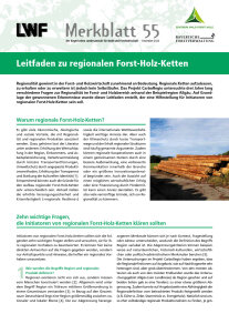 Titelseite des Merkblatts zu Forst-Holz-Ketten