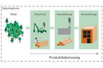 Illustrationen zeigen den Weg vom Baumstamm zum verarbeiteten Produkt