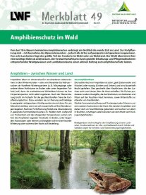 Amphibienschutz im Wald - Deckblatt des LWF-Merkblatts