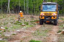 Arbeiter bewässert Forstkultur mit Schlauch aus einem Fahrzeug mit Wassertank