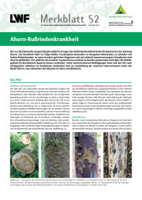 Titelseite LWF Merkblatt 52