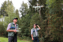 Zwei LWF-Wissenschaftler erheben den Kronenzustand parallel mit Drohnenbildern und Fernglas (© Florian Stahl, LWF) 