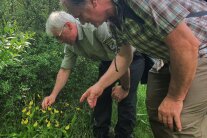 Zwei Männer zeigen auf ein Büschel Blumen am Waldrand