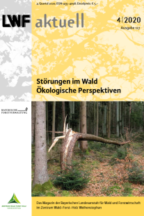 Gelber Hefttitel mit Abbildung eines abgebrochen Baumes am Wegrand.