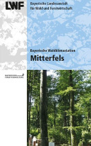 Titel des LWF-Faltblattes zur WKS Mitterfels, Ungleichaltriger Buchenbestand mit Messgeräten.