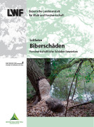 Titel vom Leitfaden Biberschäden