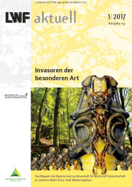 Gelber Hefttitel mit Abbildung eines Laubwaldes und Vergrößerung eines Insektes im Vordergrund.
