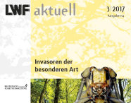 Gelber Hefttitel mit Abbildung eines Laubwaldes und Vergrößerung eines Insektes im Vordergrund.