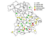 Grafik zu den gefangenen Borkenkäfern in Bayern mit farblicher Hervorhebung der Anzahlen pro Region. Schwerpunkte waren Ober- und Niederbayern.