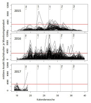 Grafik zu den gefangenen Buchruckern.