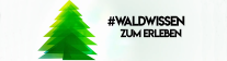 Logo waldwissen-zum-erleben