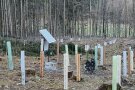 DAs Foto zeigt Plastikröhren in den Farben weiß, grün und braun die senkrecht in den Waldboden gesteckt sind. Dazwischen steht eine Solarpanel mit Stromkasten, von dem einige Kabel zu den Plastikröhren verlegt sind.