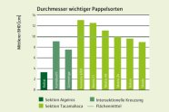 Balkendiagramm mit grünen Balken; dunkelgrüner niedriger Balken links, dann zwei doppelt so hohe mittelgrüne Balken, dann sechs grüne Balken, abnehmend nach rechts hoch